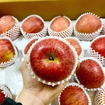 경북 청송사과 부사 사과 5kg 10kg, 주스용 크기혼합5kg, 1