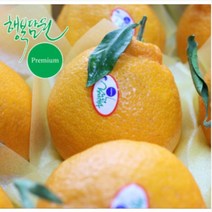 프리미엄 서귀포 효돈농협 다우렁 행복담원 고당도 한라봉 3kg, 1개, 행복담원 한라봉 중과 3kg 10과내외