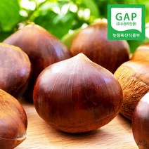 웰굿 [GAP인증] 산지직송 충남 공주 정안 옥광밤 4kg(중), 1