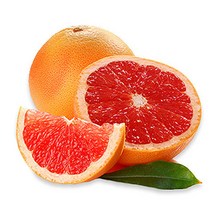 자몽, 1개, 자몽 특대과 400g내외 (10개입)