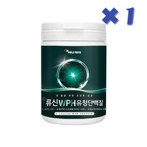L-로이신 류신 WPH WPC 프로틴 유청단백질, 280g, 1통