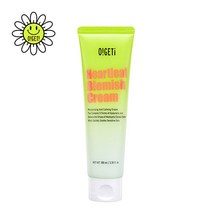 [오겟] 어성초 블레미쉬 수분크림 100ml, 1개