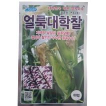연농2호 얼룩대학 찰옥수수 씨앗 80립 [23년포장], 1개