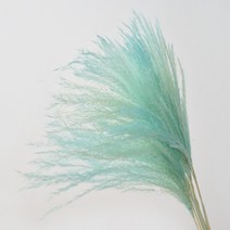 말린 꽃 자연 꽃다발 팜파스 잔디 플로레스 인공 웨딩 장식 Fleurs Artificielles 홈 30 개, [01] 30pcs, [12] B blue