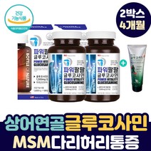 다리 종아리 허리 아플때 글루코사민 MSM 상어연골 초록 푸른 입 홍합 생선 콜라겐 무릎 소리 날때 구부릴때 통증 손목 손가락 무릅 연골 물렁뼈 에 좋은 조인트 케어 바르는 크림