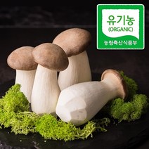 국내산 프리미엄 유기농 새송이버섯 300g x 4개
