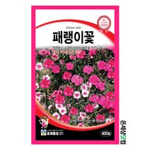 패랭이꽃 400립/ 꽃씨 화단 꽃밭 정원 야생화 패랭이꽃씨앗