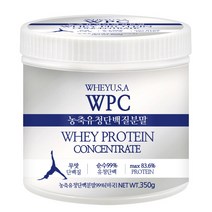 푸른들판 미국 농축 유청 단백질 WPC 분말 가루 WHEY 웨이 프로틴 보충제 파우더 추천, 350g, 1통