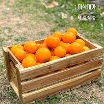 당일수확 제주 카라향 3kg 5kg 10kg 고당도 제철과일 귤 감귤, 혼합과(못난이포함) 5kg, 1개