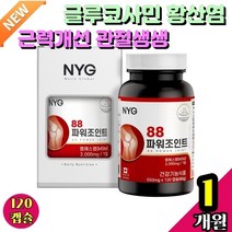 글루코사민 식용유황 근력개선 관절생생 어깨관절 영양제 강화제 마디 연골 생성 에좋은 뼈건강식품 관절튼튼 무릎 아플때 저릴때 관절건강 노케스템 nochestem 추천 우슬 해조분말