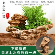 천연 가습기 대형 바위 돌수반 아트빅사이즈분경분청화분 창포반 이끼조경돌화분 양치식물어항조경, 03 버섯 절벽 19cm