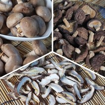 표고버섯 1kg 생표고버섯 마른 말린 슬라이스 통표고버섯 못난이 건조 국산 무농약, 생표고버섯 실속형 1kg