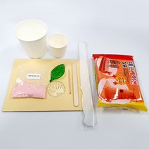 사이언스툴 나뭇잎 조개화석 만들기 1인용 만들기키트