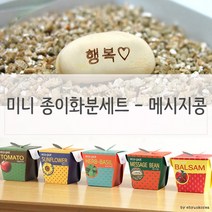 키우기쉬운식물 미니 페이퍼 씨앗세트 행복메시지콩, 상세페이지 참조