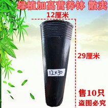 블랙 비닐 화분 모종 포트 분갈이 컵 비닐포트 육묘 묘목 원예 다육이 화훼 식물 대형 텃밭, 2. 12x30 50pcs