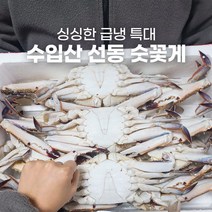 가을 꽃게 숫꽃게 시세 철 제철 4kg 수입산 특대