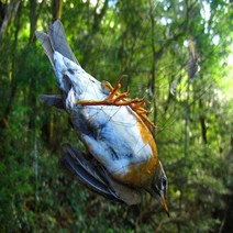농기계관리기 농업용관리기 농업용운반차 15M 메쉬 안티 버드 미스트 네트 농업 과수원 보호 손상 공급 방지