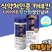 카테킨 300mg 나이아신 셀렌 다이어트 보조제 효능 효과 녹차추출물 녹차카테킨 카테킨다이어트 녹차다이어트 체지방감소 도움 CATECHIN 식약처인증
