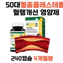 여성 건강식품 식물성 오메가6지방산 프로스타글란딘 불포화지방산 보라지꽃 종자유 캡슐 비타민E함유 혈중콜레스테롤 혈행 개선 면역과민반응 피부상태개선 캐나다 직수입 30대 40대 50대 여자 엄마 추천식물성오일 감마리놀렌산