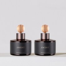 1+1 에이센트 네이처 차량용 디퓨저 방향제 120ml, 13 시그니처솝*2