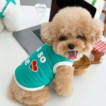 말티즈 장모치와와 말티푸 비숑 프리제 옷 개 테디 베어 고양이 포메라니안 강아지 슈나우저 푸들 작 개 애완 동물 조끼 여름 얇 섹션, 초록, l 등길이 35 (8-10 추천)