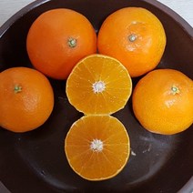 제주도 황금향 3kg 5kg 설 명절 과일 선물세트 가정용, 1.선물용 3kg