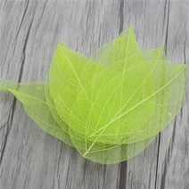 생화같은조화 실크 루시아 공예 36 개/가방 멀티 컬러 인공 해골 잎 건조 Scrapbooking 소녀 DIY 재료 C070, 07 Light green  36pcs