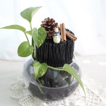 [천연가습기] 유리볼 참숯과 수경식물 제습효과 가습효과 백탄 참숯 숯가습기, 15cm