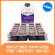 파이오라 빌베리 50000 고함량 60캡슐 뉴질랜드 눈영양제, 1개