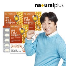 브랜드없음 내츄럴플러스 면역&항균 그린 프로폴리스 아연 츄어블 60정 3박스(6개월분) / 플라보노이드 레몬맛, 선택완료