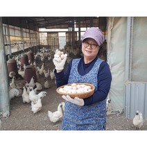 난각번호 1번 자연방사 백봉오골계 유정란 60알