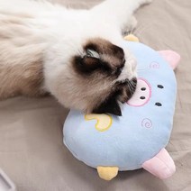 [옷입는 강아지] 꿀잠 자는 강아지 베개 고양이 베개 애견 베개 28cm*19cm, 1개, 블루