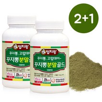 약초약선생 국산 꾸지뽕 분말 가루 120g, 1개
