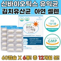 식약처인증 락토바실러스플란타룸 김치유산균 배변6통 배변활동 엔테로코커스패시움 온가족유산균 배변유산균 모유유래유산균 프로바이오틱스 락토바실러스아시도필러스 유산균제품 생유산균 신바이오틱스