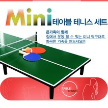 미니 탁구대
