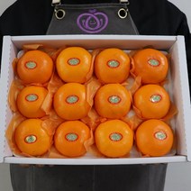 프리미엄 최상품 제주천혜향 천혜향 선물세트 천해향 천애향 가정용 선물용 3kg 5kg, 제주 천혜향 가정용 5kg 19-30과