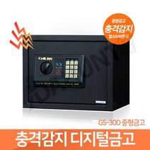 디지털금고 작은 비밀금고, GS30중형