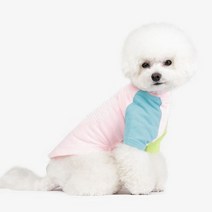 리얼펫 항균가공 소재 포레버 라운드 티셔츠.리얼펫, L|아쿠아