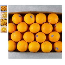 [새벽배송]제철과일 오렌지 네이블오렌지 프리미엄 당일경매과일 3kg 5kg // 호주산, 오렌지5kg