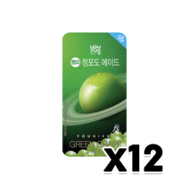 유어스 벤티청포도에이드 아이스파우치음료, 500ml, 12개