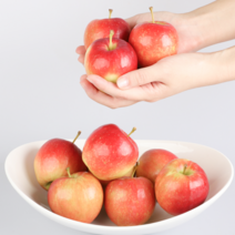 루비에스사과 미니사과 한입 꼬마사과, 30개, 2kg(25~30과 내외)