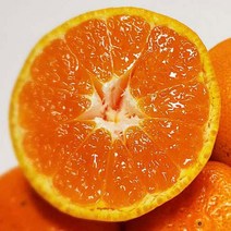 제주 서귀포 귤 노지 감귤 5kg 10kg, 귤 10kg 소과(S)