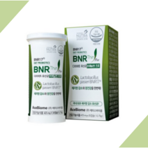 모유 유래 유산균 비에날씬 bnr17 가루 분말 비엔알17 bmr17 비엔날씬 다이어트 인증 정품 락토바실러스 가세리 프리미엄 가성비 [비에날씬 옵션 선택], 비에날씬프로 1개월