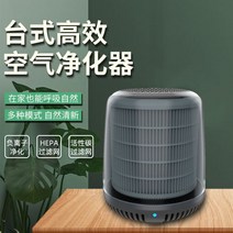 펫 공기청정기 소형 원룸 강아지 고양이 털 미세먼지 부유먼지 환기 효과 자동차, 블랙, ONE SIZE, 블랙