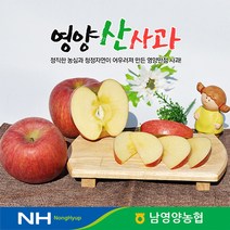 경북 영양농협 사과 꿀부사 10kg 30-33과 미세기스, 단품