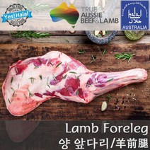 Yes!Global 양고기 앞다리 양앞다리 Halal Lamb Foreleg (오이스터컷 Oyster cut 할랄), 1개, 1.962kg