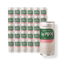 뉴케어 케이티 비투석 신장질환자식 균형영양식 200ml 30캔 건강식 환자식 식사대용