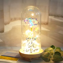 발트728 문구제작 홀로그램장미 기념일 선물 LED유리돔 글라스돔, 작은아이/홀로그램장미/수고했어오늘도