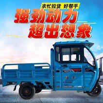 전동 운반차 골프장카트 창고 농업용화물 배터리 카가있는 새로운 반 밀폐형 전기 세발 자전거 오일 전기 이중 목적 성인화물 패밀리 카, 1.5m 단일 행, 60v