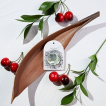 헤카테 퍼퓸 캡슐 방향제 (5개입), 블랙체리, 1개